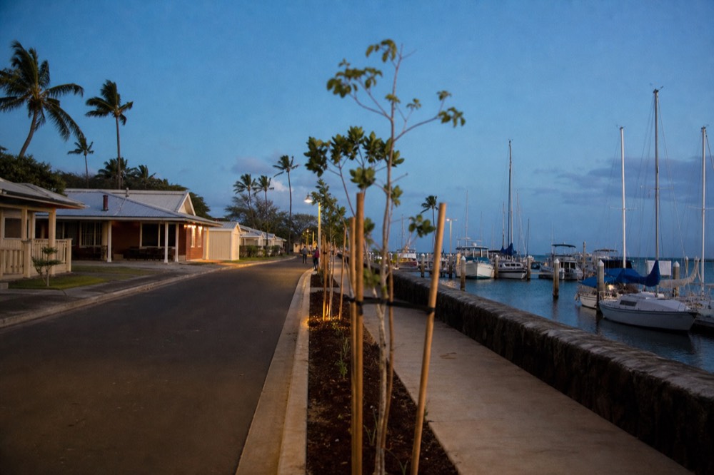 An empty harbourfront street at golden hour with new kerbs and young planted trees, low buildings set back from a seawall