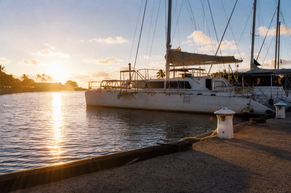 A row of moored tour catamarans and dive boats in a small harbor basin, late afternoon light on their hulls and rigging
