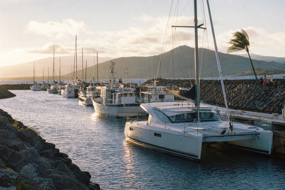 Row of moored catamarans and fishing boats in a narrow harbor basin with breakwater rocks and windblown palms in warm afternoon light